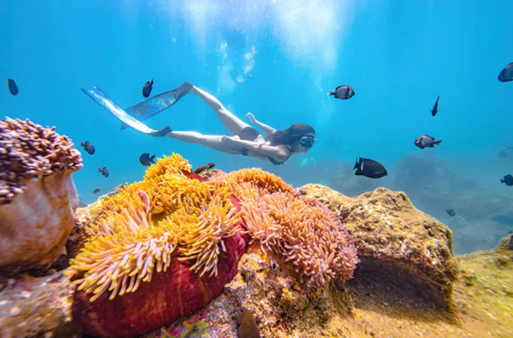 蜜逃三亚·独行侠の周末狂欢